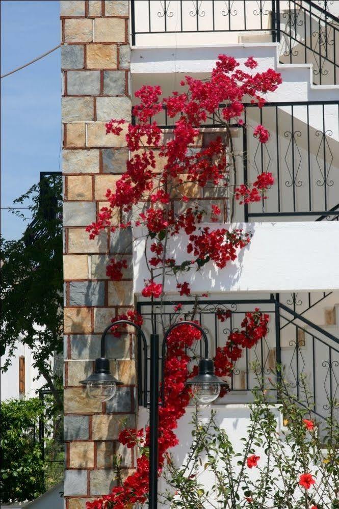 Agar Apart Hotel Gümbet Kültér fotó